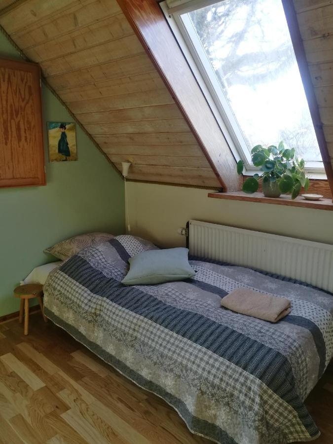 Green Vagon, Farm B&B Rooms For Rent Hjørring Kültér fotó