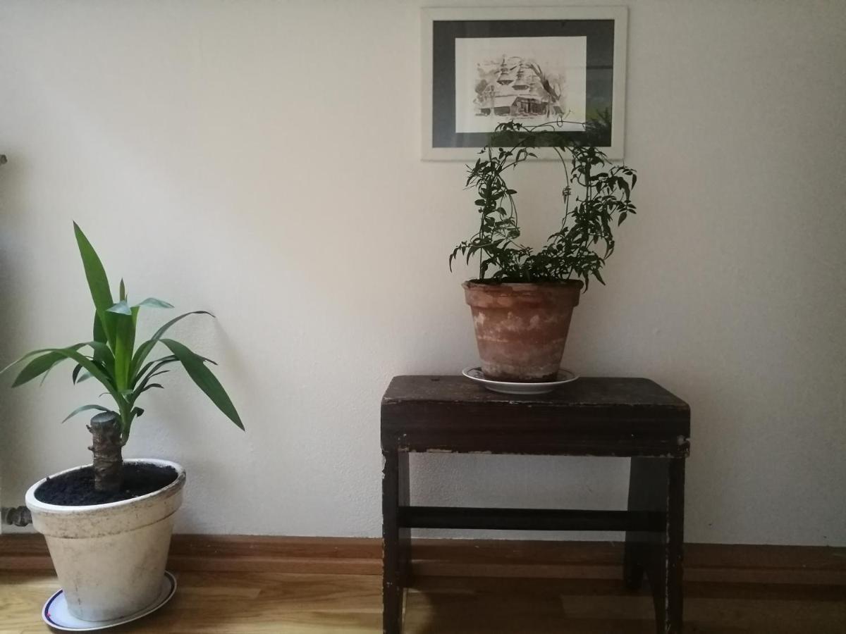 Green Vagon, Farm B&B Rooms For Rent Hjørring Kültér fotó